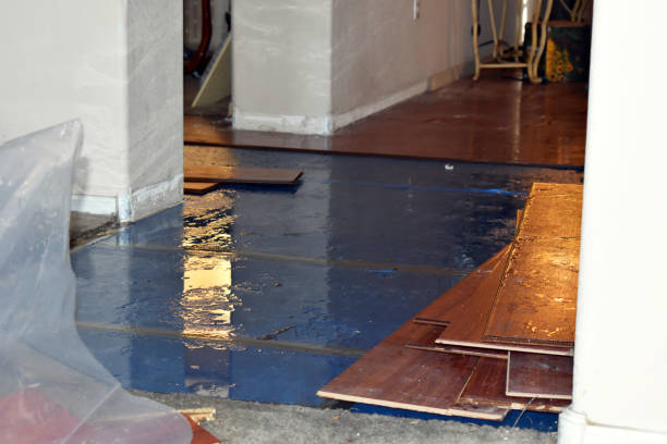 Professional Basement Flood Cleanup technician working in Elwood, UT